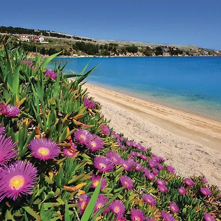 Stunning In Pag With Wifi 公寓 *